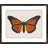 Paragon Garden Visitor III Multi 28 X 34 X 1 Wall Art