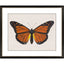 Paragon Garden Visitor III Multi 28 X 34 X 1 Wall Art