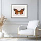Paragon Garden Visitor III Multi 28 X 34 X 1 Wall Art