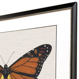 Paragon Garden Visitor III Multi 28 X 34 X 1 Wall Art