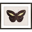 Paragon Garden Visitor IV Multi 28 X 34 X 1 Wall Art