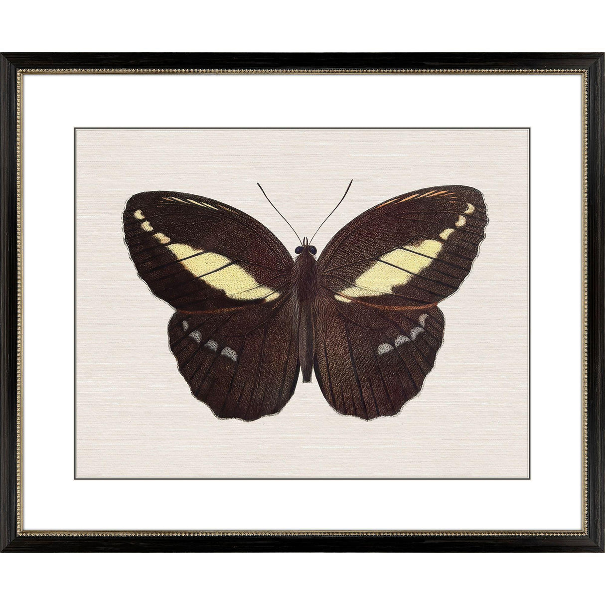 Paragon Garden Visitor IV Multi 28 X 34 X 1 Wall Art