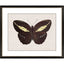 Paragon Garden Visitor IV Multi 28 X 34 X 1 Wall Art