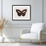 Paragon Garden Visitor IV Multi 28 X 34 X 1 Wall Art