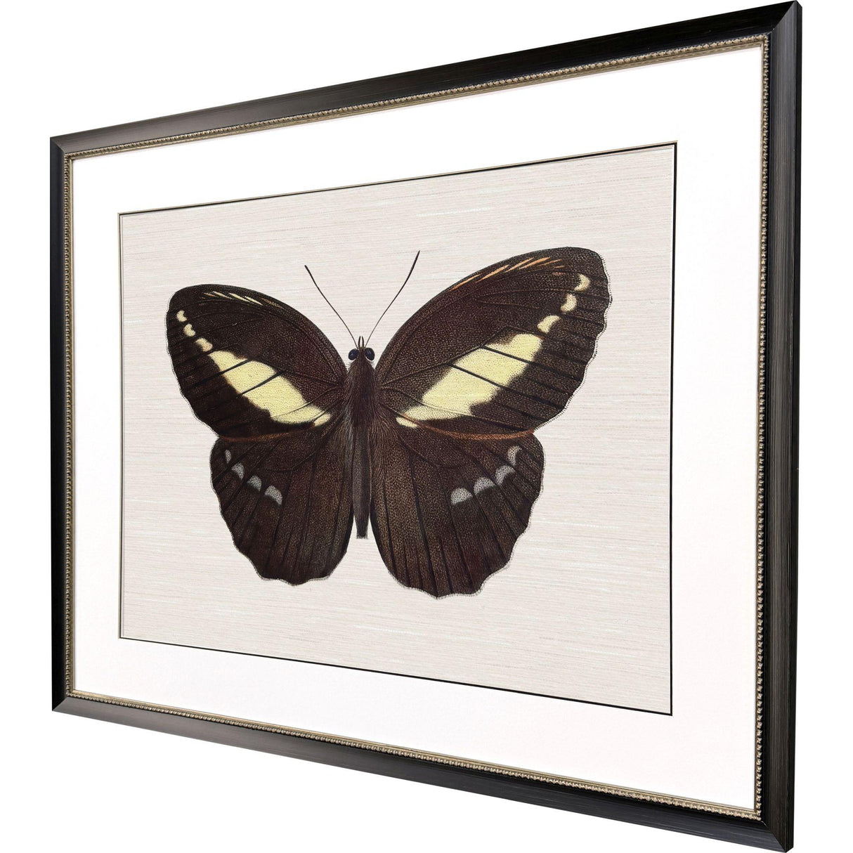 Paragon Garden Visitor IV Multi 28 X 34 X 1 Wall Art