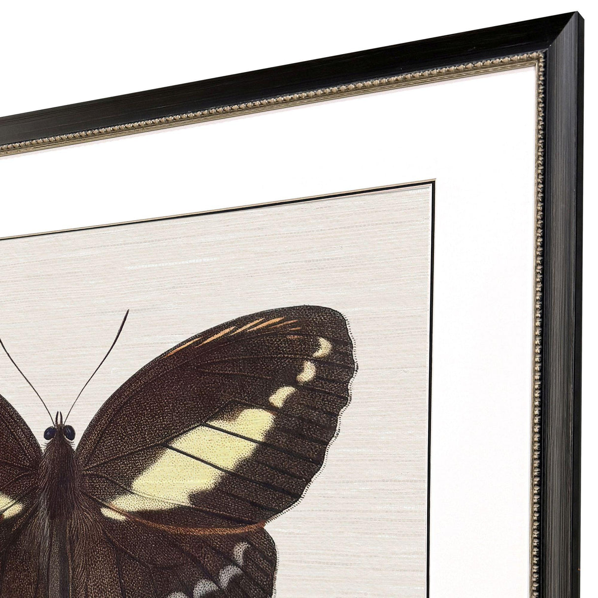 Paragon Garden Visitor IV Multi 28 X 34 X 1 Wall Art