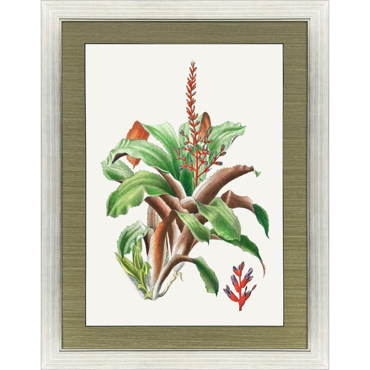 Paragon Cactus Floral Red 47 X 35 X 2 Wall Art