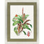 Paragon Cactus Floral Red 47 X 35 X 2 Wall Art