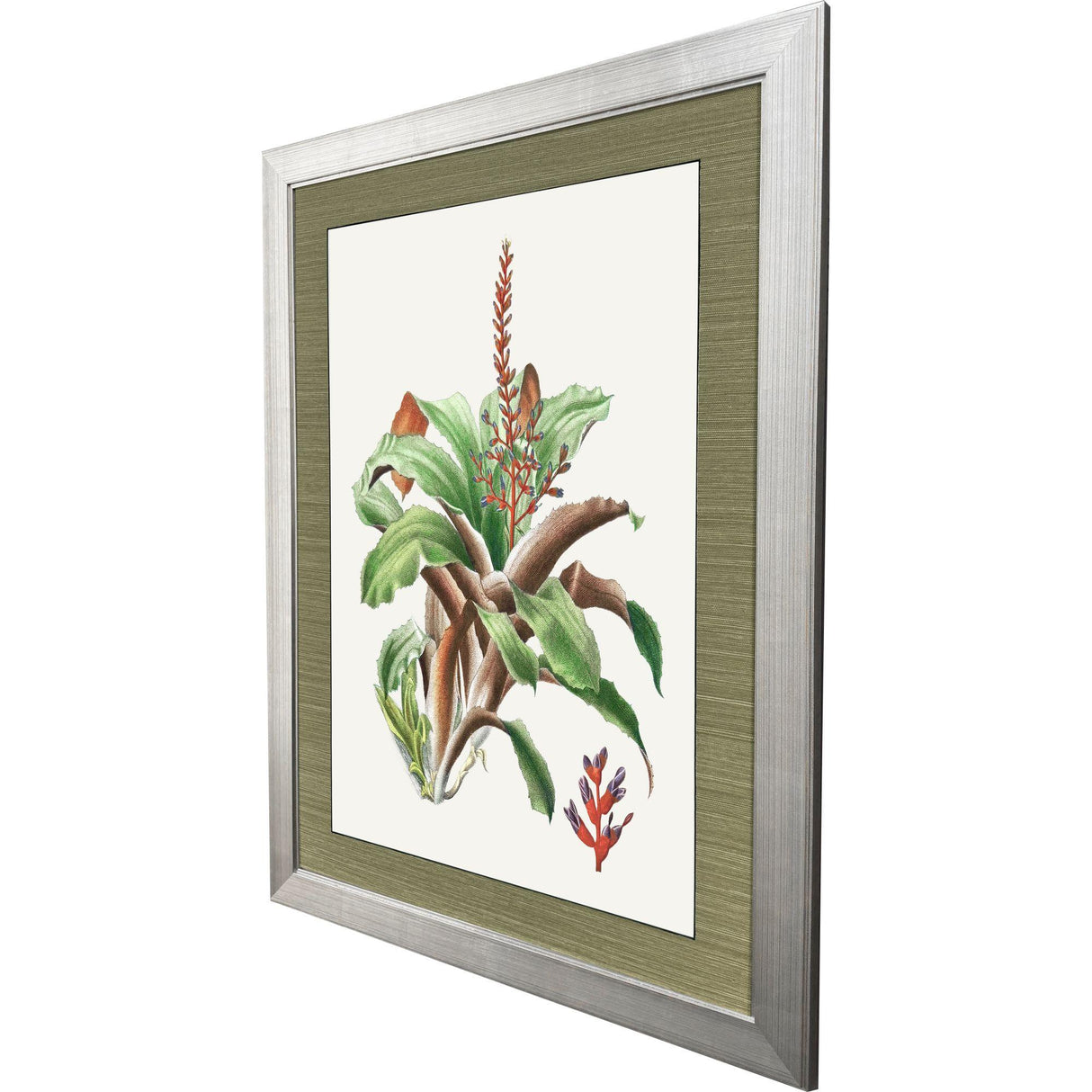 Paragon Cactus Floral Red 47 X 35 X 2 Wall Art