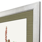 Paragon Cactus Floral Red 47 X 35 X 2 Wall Art