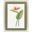Paragon Bird of Paradise Red 47 X 35 X 2 Wall Art
