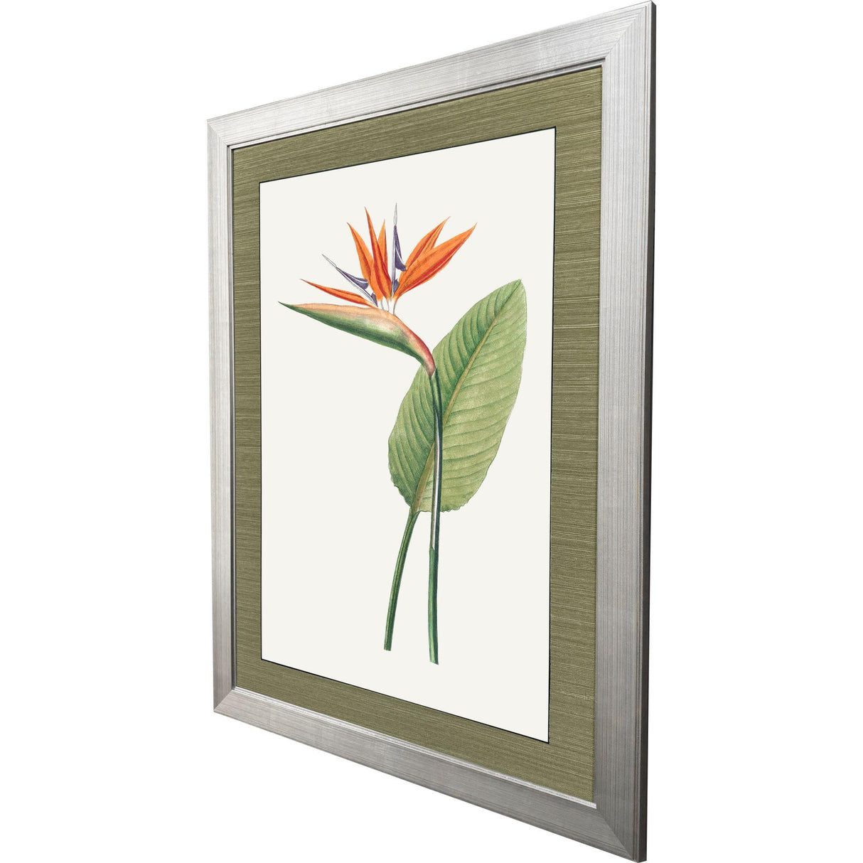 Paragon Bird of Paradise Red 47 X 35 X 2 Wall Art