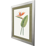 Paragon Bird of Paradise Red 47 X 35 X 2 Wall Art