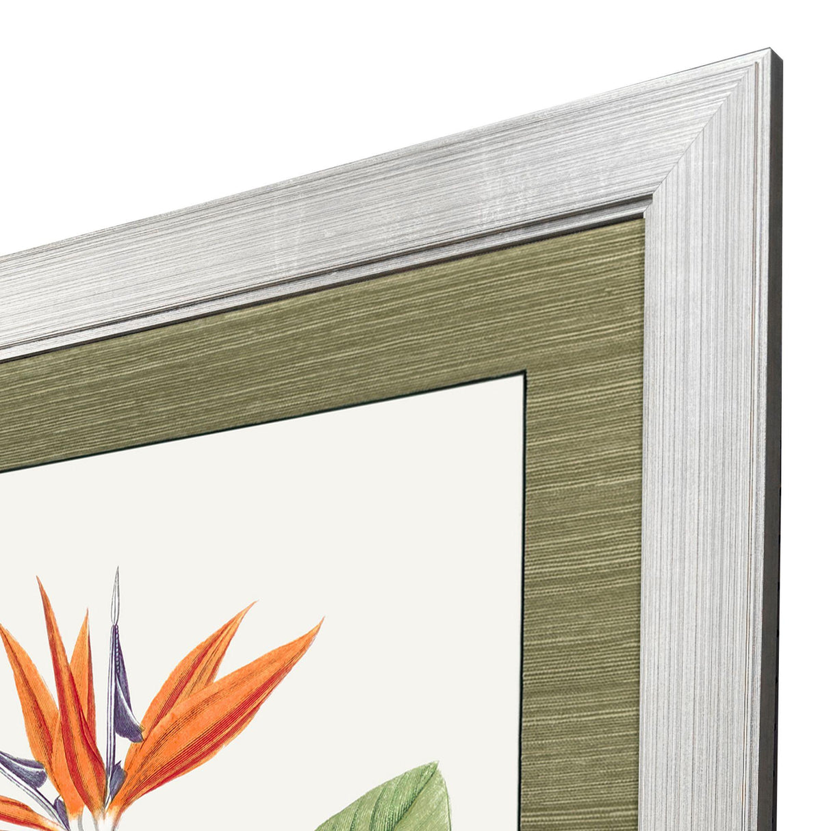 Paragon Bird of Paradise Red 47 X 35 X 2 Wall Art