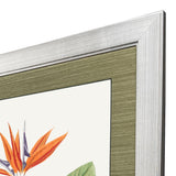 Paragon Bird of Paradise Red 47 X 35 X 2 Wall Art