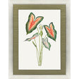 Paragon Caladium Red 47 X 35 X 2 Wall Art