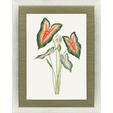 Paragon Caladium Red 47 X 35 X 2 Wall Art
