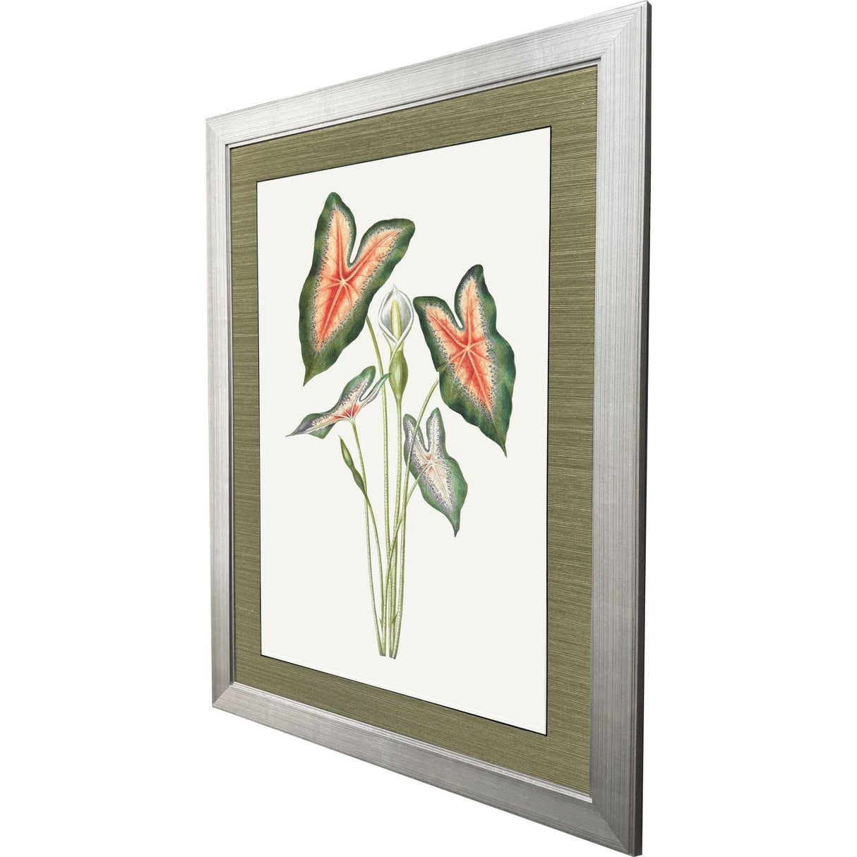 Paragon Caladium Red 47 X 35 X 2 Wall Art