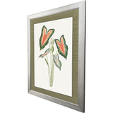 Paragon Caladium Red 47 X 35 X 2 Wall Art