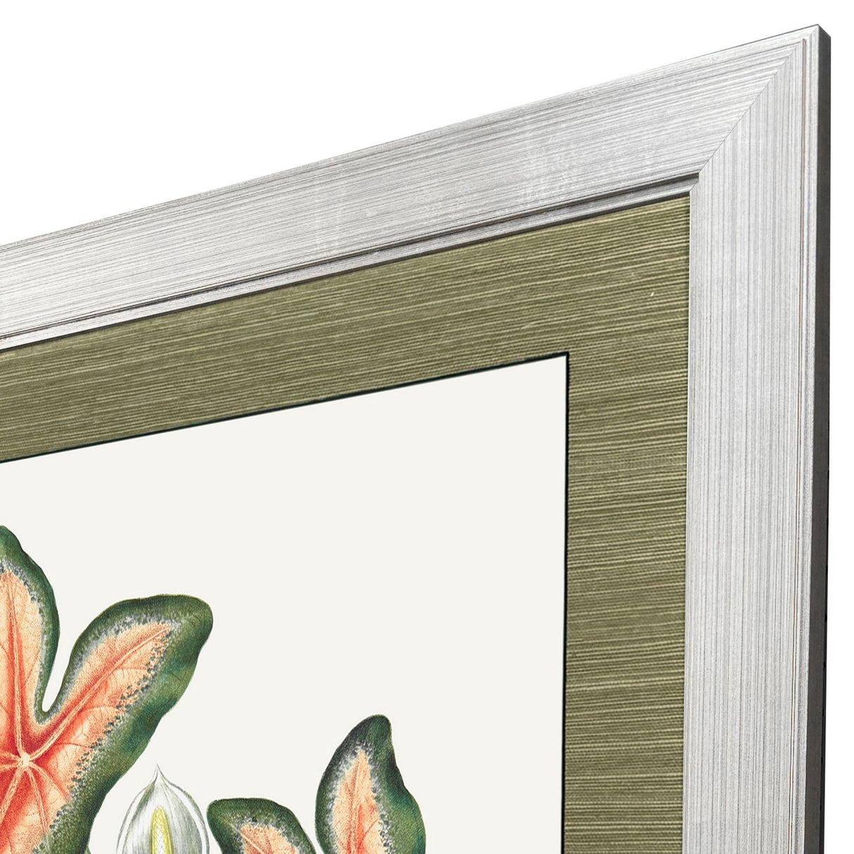 Paragon Caladium Red 47 X 35 X 2 Wall Art