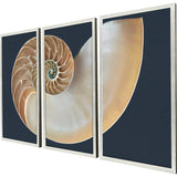 Paragon Nautilus Triptych S/3 Blue 47 X 25 X 2 Wall Art