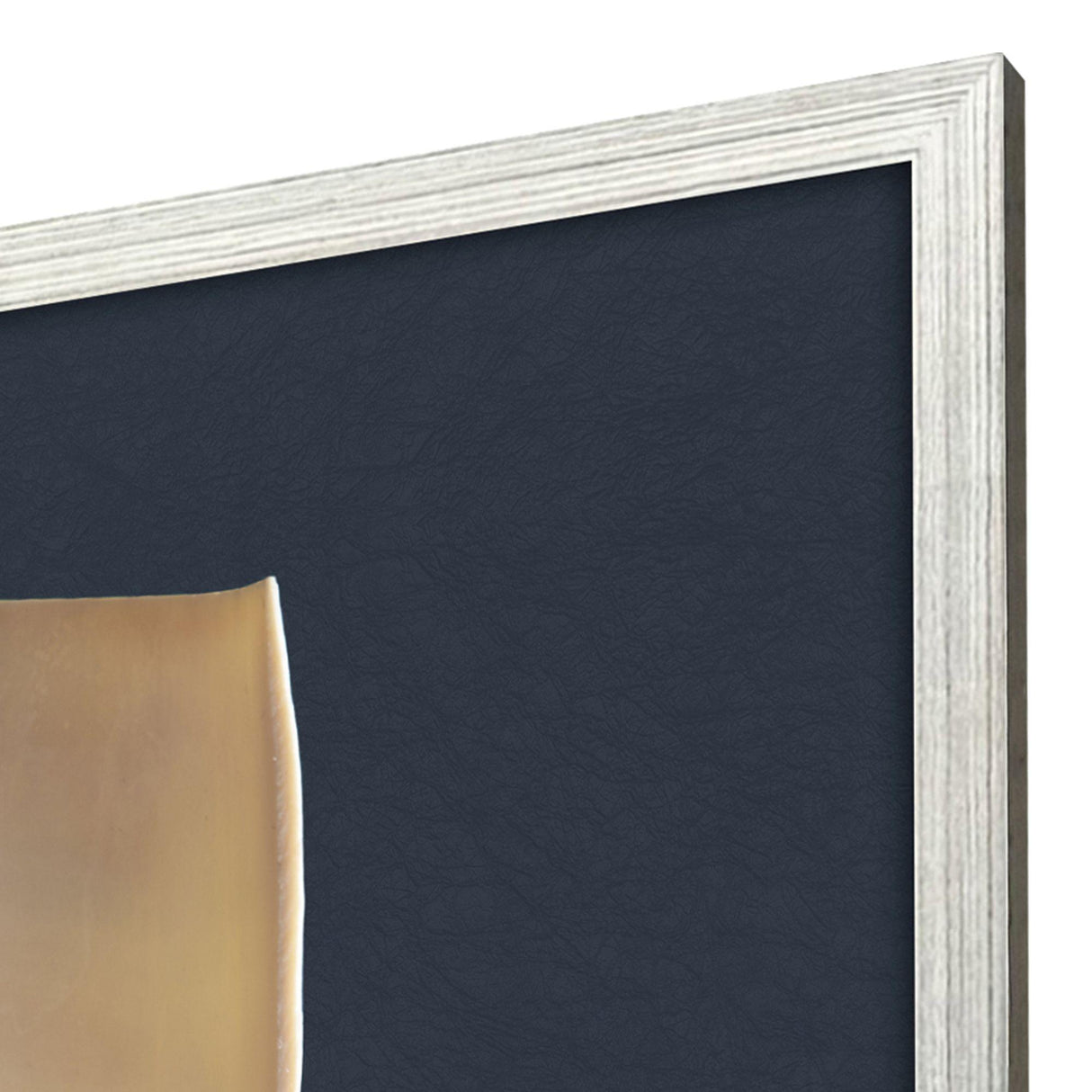 Paragon Nautilus Triptych S/3 Blue 47 X 25 X 2 Wall Art