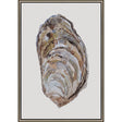 Paragon Oyster Elegance Brown 39 X 27 X 3 Wall Art