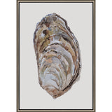 Paragon Oyster Elegance Brown 39 X 27 X 3 Wall Art