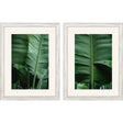 Paragon Leaf Study S/2 Green 33 X 25 X 1 Wall Art
