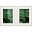 Paragon Leaf Study S/2 Green 33 X 25 X 1 Wall Art