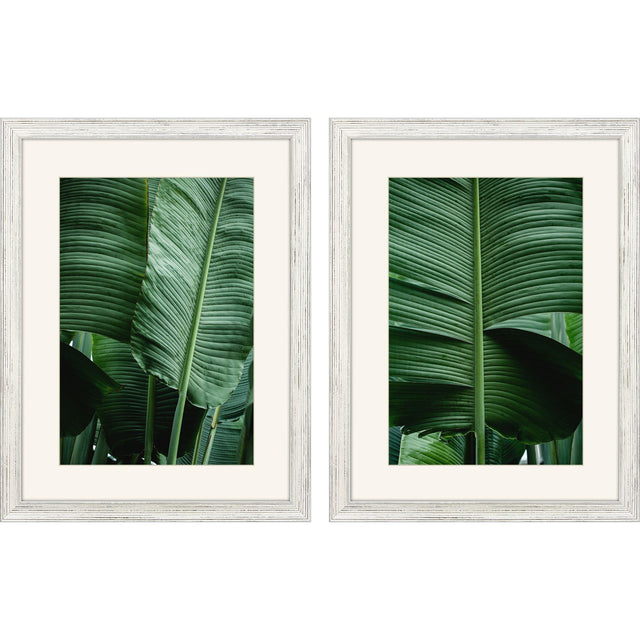 Paragon Leaf Study S/2 Green 33 X 25 X 1 Wall Art