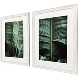 Paragon Leaf Study S/2 Green 33 X 25 X 1 Wall Art