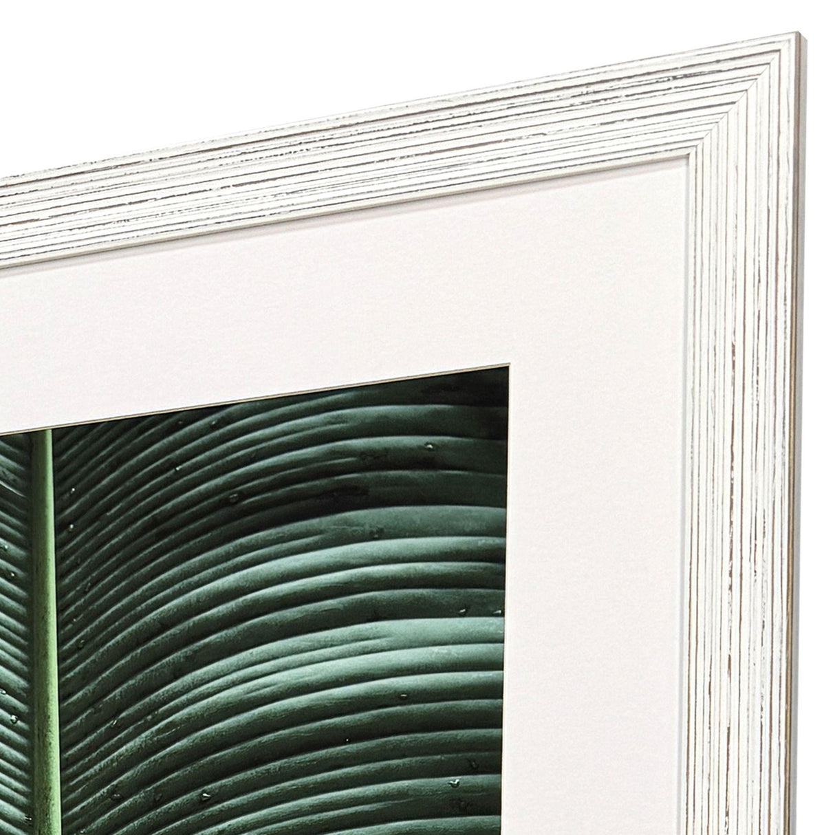 Paragon Leaf Study S/2 Green 33 X 25 X 1 Wall Art