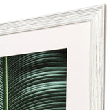 Paragon Leaf Study S/2 Green 33 X 25 X 1 Wall Art