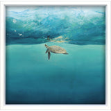Paragon Turtle Reflection Blue 34 X 34 X 3 Wall Art