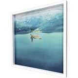 Paragon Turtle Reflection Blue 34 X 34 X 3 Wall Art