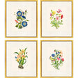 Paragon Delicate Medley II S/4 Multi 20 X 17 X 1 Wall Art