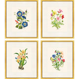 Paragon Delicate Medley II S/4 Multi 20 X 17 X 1 Wall Art