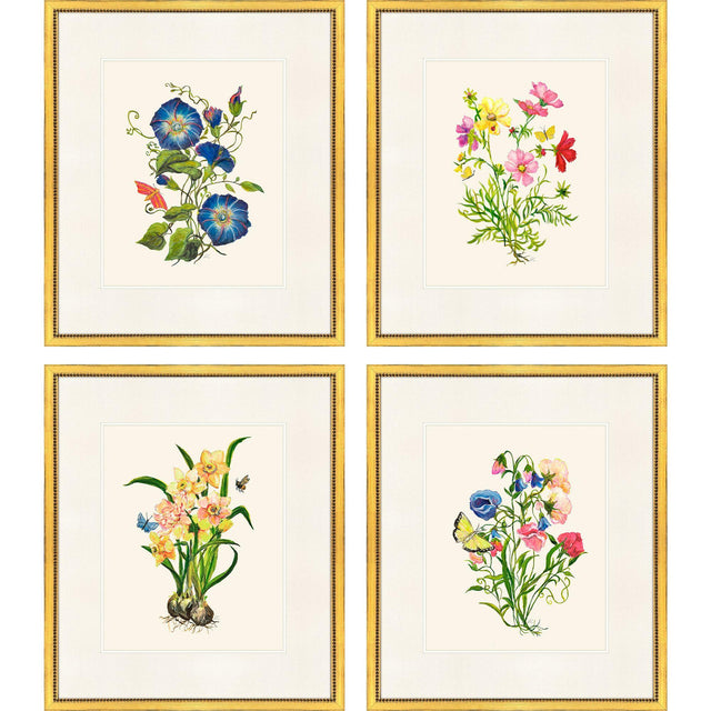 Paragon Delicate Medley II S/4 Multi 20 X 17 X 1 Wall Art