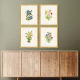Paragon Delicate Medley II S/4 Multi 20 X 17 X 1 Wall Art