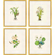 Paragon Delicate Medley I S/4 Multi 20 X 17 X 1 Wall Art