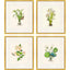 Paragon Delicate Medley I S/4 Multi 20 X 17 X 1 Wall Art