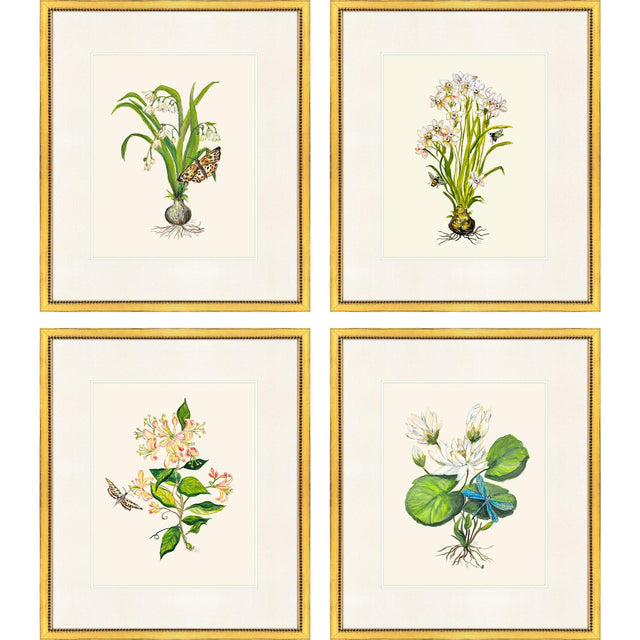 Paragon Delicate Medley I S/4 Multi 20 X 17 X 1 Wall Art