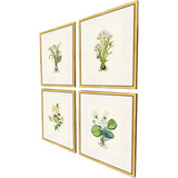 Paragon Delicate Medley I S/4 Multi 20 X 17 X 1 Wall Art