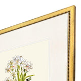 Paragon Delicate Medley I S/4 Multi 20 X 17 X 1 Wall Art
