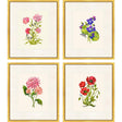 Paragon Delicate Medley III S/4 Multi 20 X 17 X 1 Wall Art