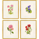 Paragon Delicate Medley III S/4 Multi 20 X 17 X 1 Wall Art