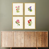 Paragon Delicate Medley III S/4 Multi 20 X 17 X 1 Wall Art