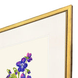 Paragon Delicate Medley III S/4 Multi 20 X 17 X 1 Wall Art