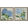 Paragon Hydrangea Study S/2 Blue 22 X 22 X 2 Wall Art